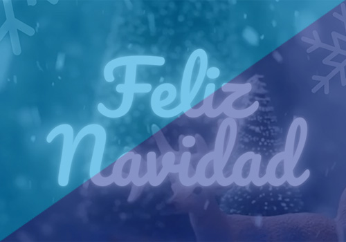 COEL os desea una feliz Navidad y un próspero 2024