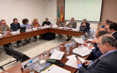 El Consejo de Dentistas aprueba sus presupuestos para 2024