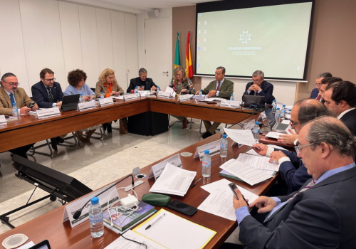 El Consejo de Dentistas aprueba sus presupuestos para 2024