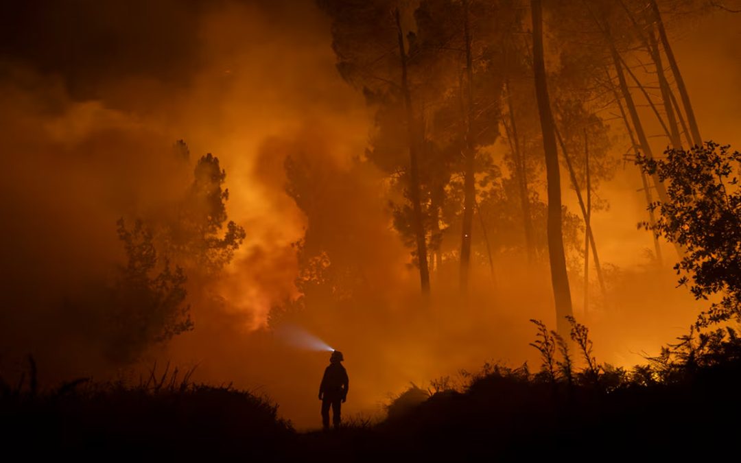 Apoyo total a los afectados por los incendios