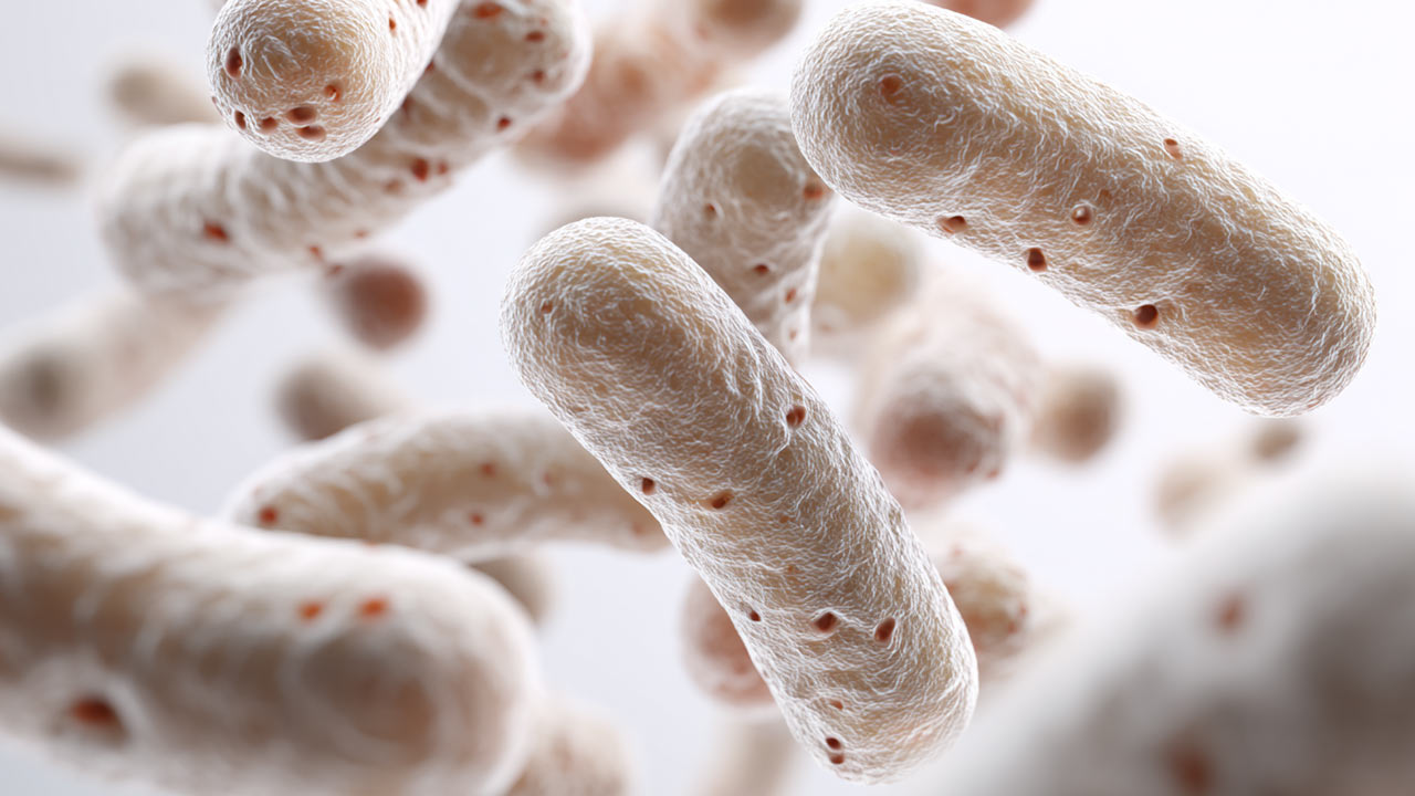 Antibioticos