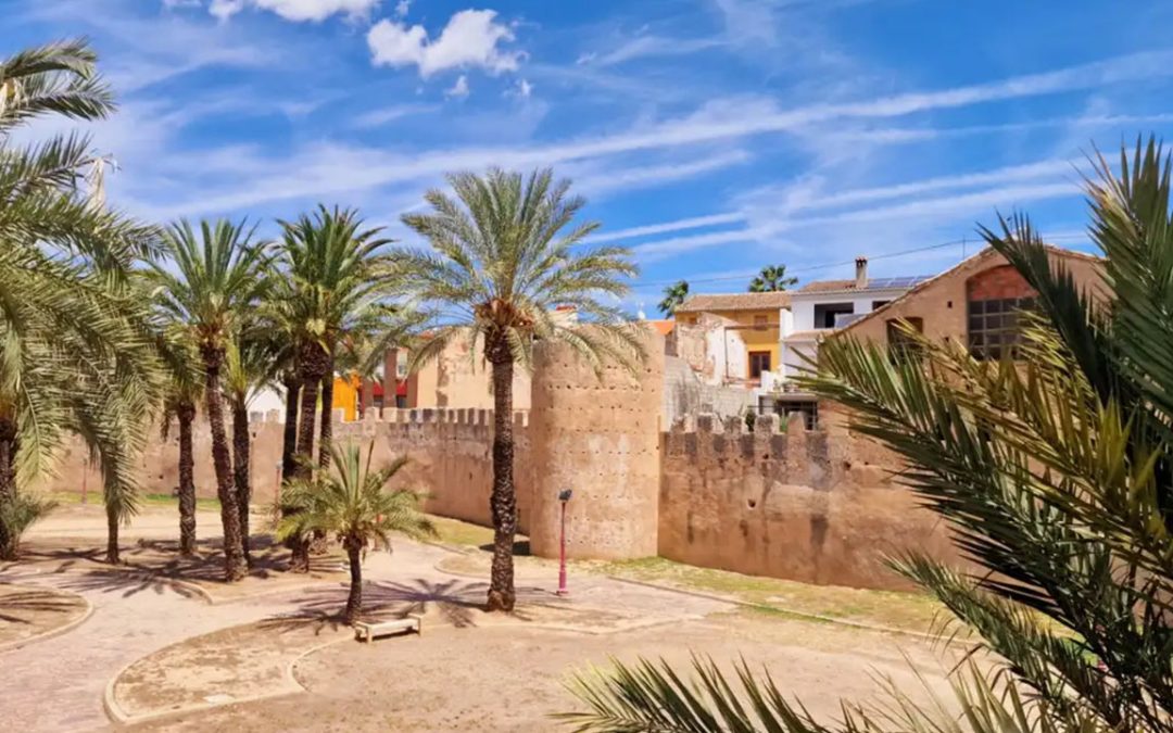 El Consejo pide prudencia tras el fallecimiento en Alzira