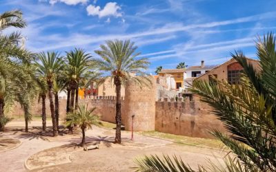 El Consejo pide prudencia tras el fallecimiento en Alzira