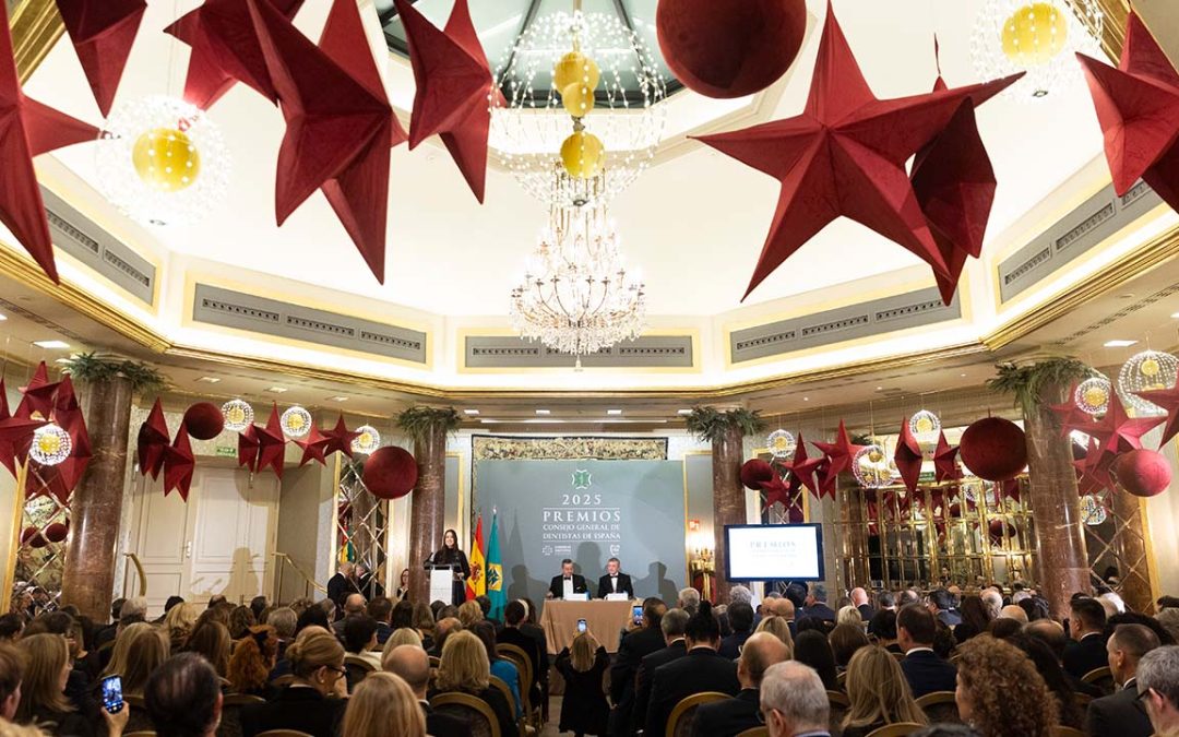 Premios anuales del Consejo: excelencia y servicio