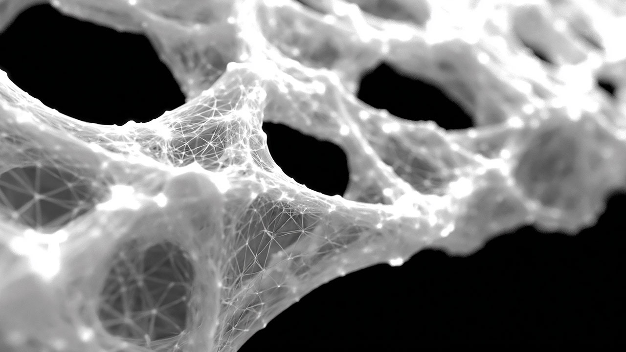 NECROSIS-2